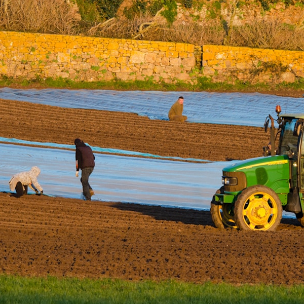 normativa comunitaria en el sector agrario G