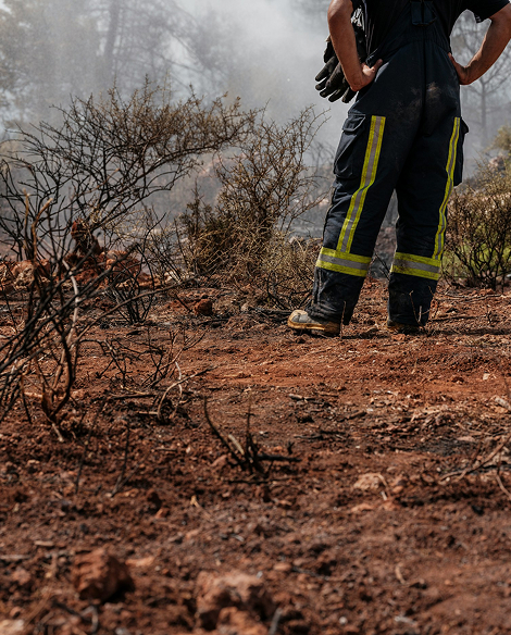 Investigación de incendios forestales