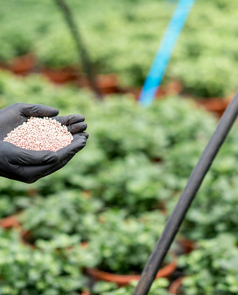 abonado y fertilización en agricultura ecológica