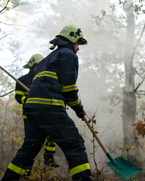 extinción de incendios forestales