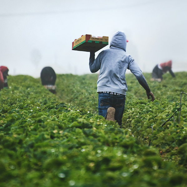 formación integral para agricultores