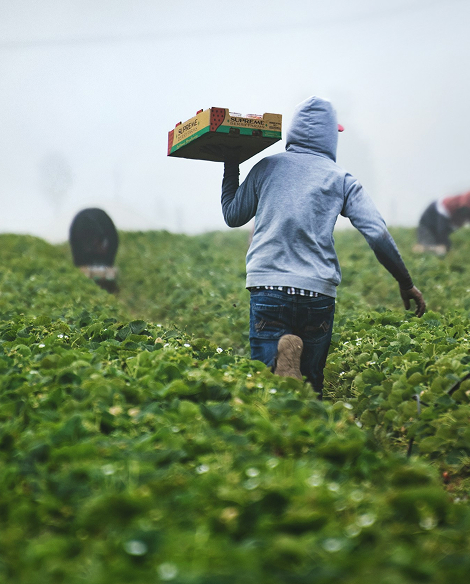 formación integral para agricultores