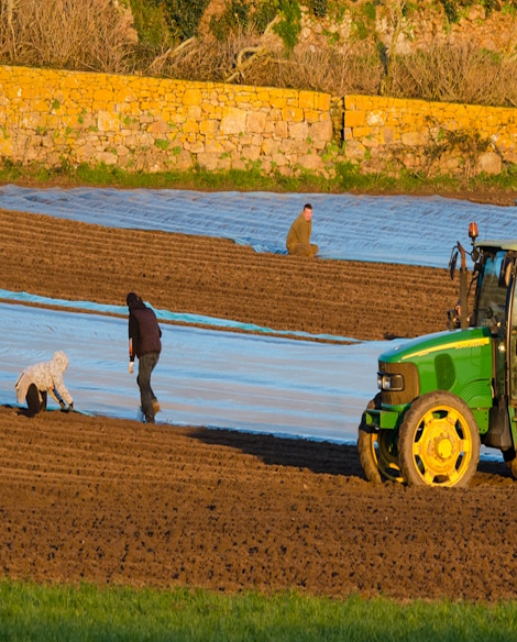 normativa comunitaria en el sector agrario