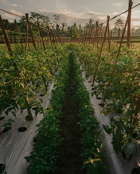 formación integral para trabajadores de almacén hortofrutícola