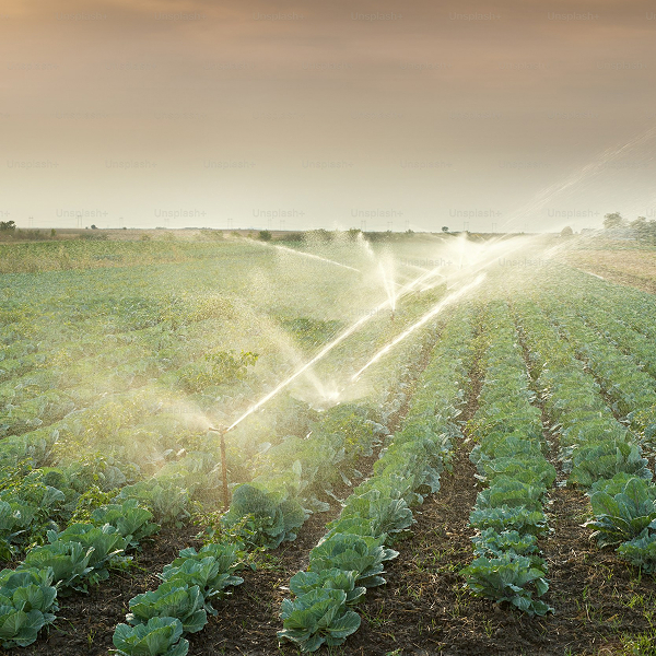 uso eficiente del agua en el sector agrario