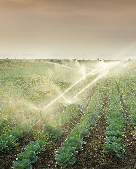 uso eficiente del agua en el sector agrario