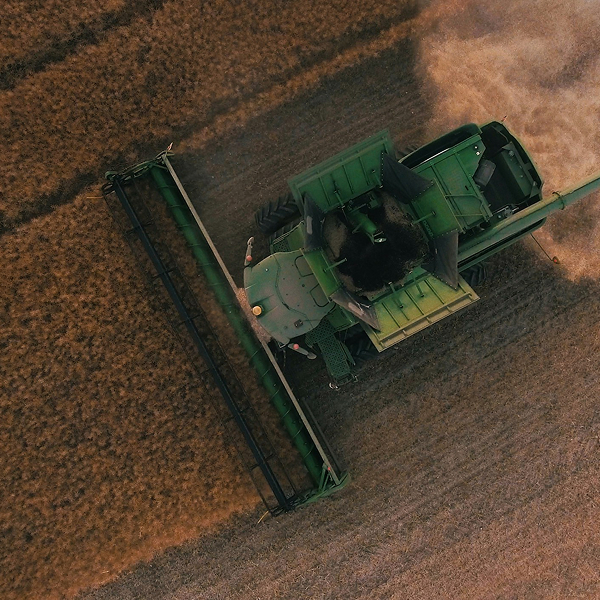 Gestión y organización de la explotación agraria