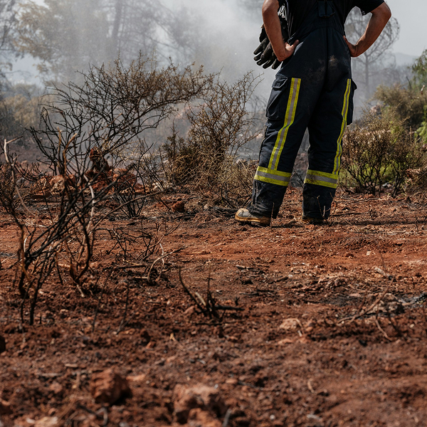 Investigación de incendios forestales