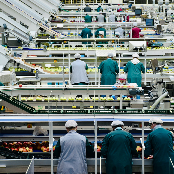 Manipulación de alimentos