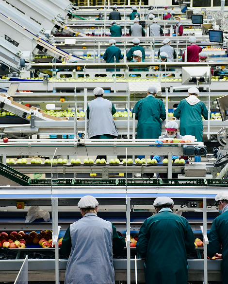 Manipulación de alimentos
