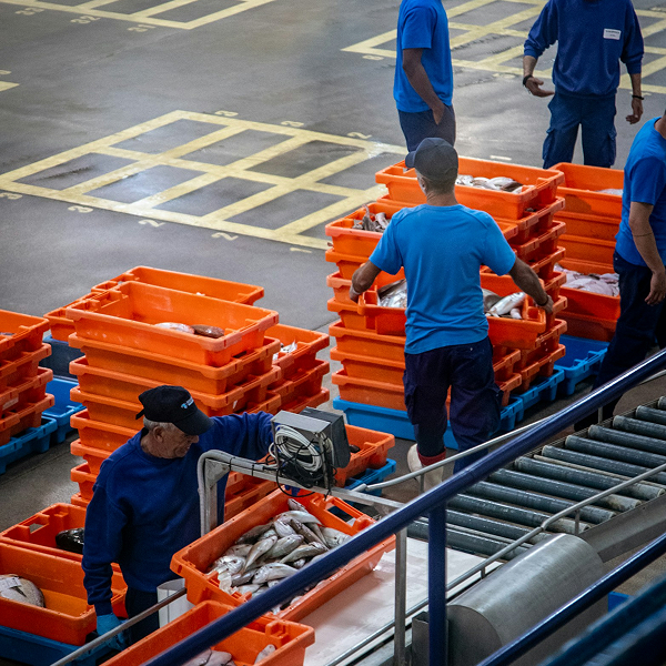 RECEPCIÓN Y ALMACENAMIENTO DE PESCADOS Y MARISCOS