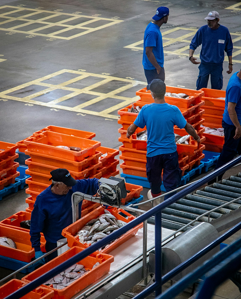 RECEPCIÓN Y ALMACENAMIENTO DE PESCADOS Y MARISCOS