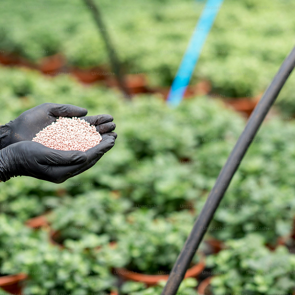 abonado y fertilización en agricultura ecológica